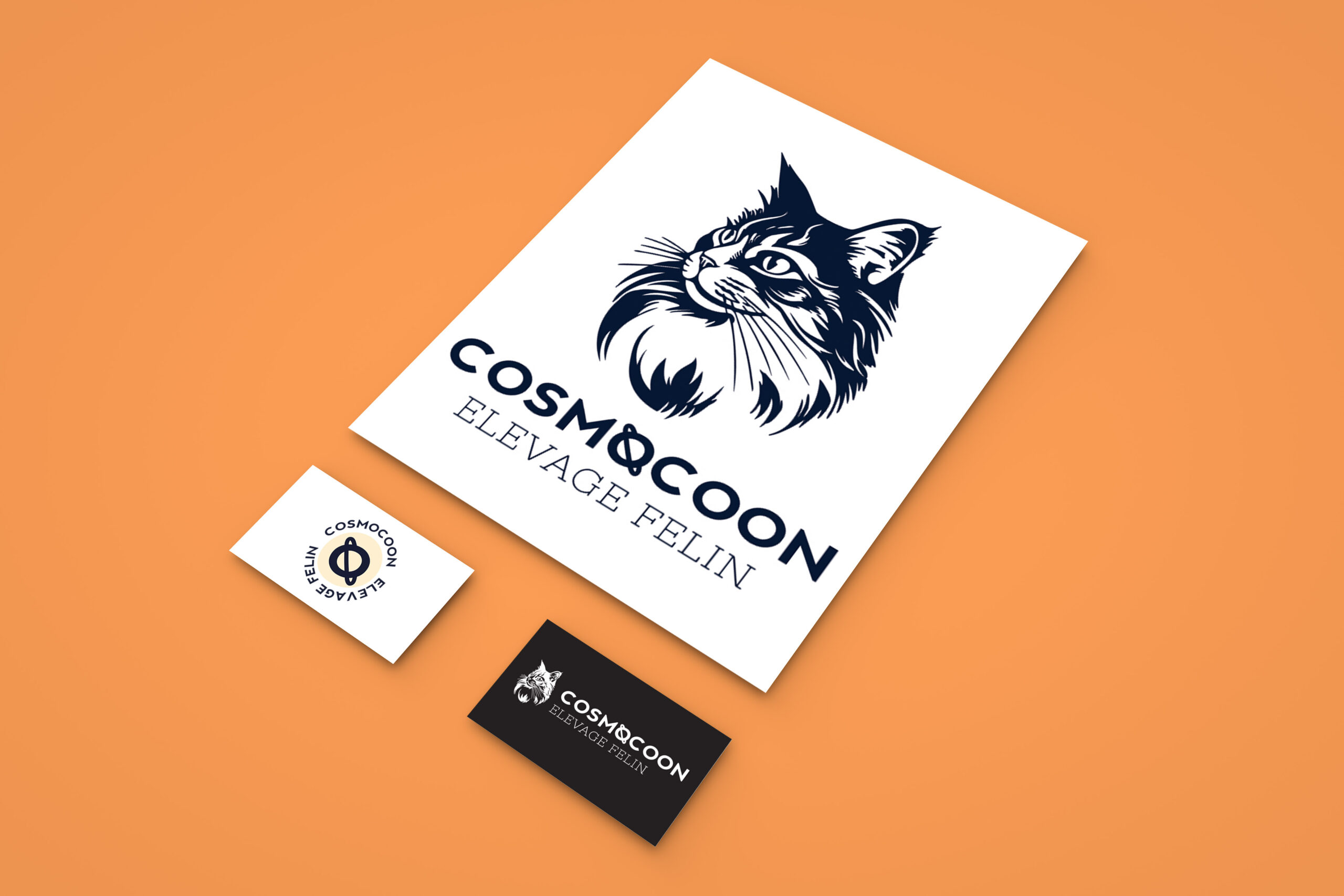 Cosmocoon 