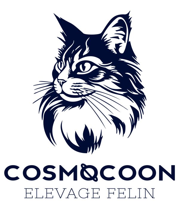 logo cosmocoon creation design